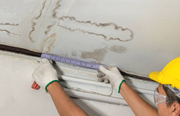 Reliable Water Damage Repair contractor in Paeonian Springs, VA by Aqua Guard Water Damage